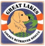 Great Lakes Golden Retriever Rescue